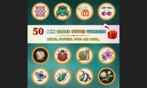 50 Mini Cross Stitch Wonders