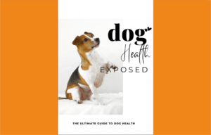 Dog Health eBook