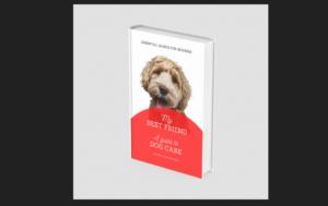 Dog care guide