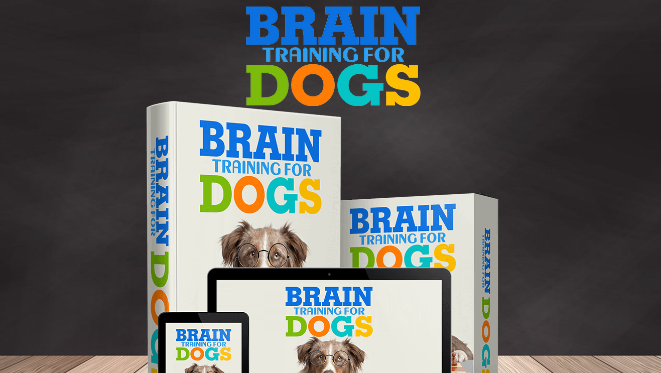 Brain Training for Dogs